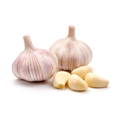 Чеснок крупный 1 кг - купить в Сысканово